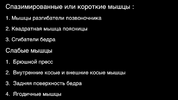 5A1772C2-EF47-4691-A0C7-8B90EABB6420.png