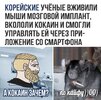 D18F5328-7FA7-498F-A4EF-DF9F2A40C3C2.jpeg
