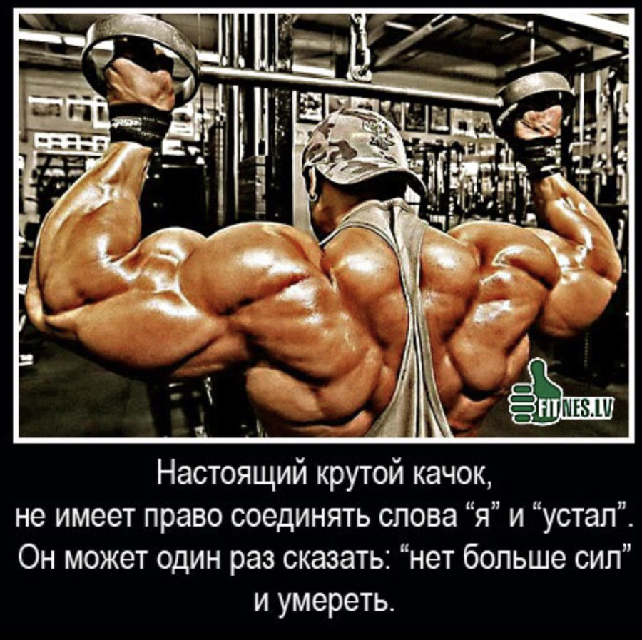 24077230_900.jpg